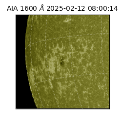 saia - 2025-02-12T08:00:14.125000