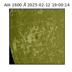 saia - 2025-02-12T19:00:14.130000