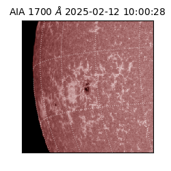saia - 2025-02-12T10:00:28.726000