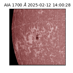saia - 2025-02-12T14:00:28.717000