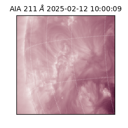 saia - 2025-02-12T10:00:09.618000