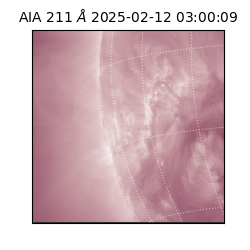 saia - 2025-02-12T03:00:09.626000