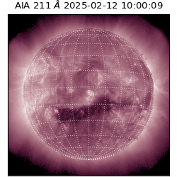 saia - 2025-02-12T10:00:09.618000