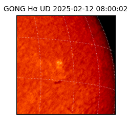 gong - 2025-02-12T08:00:02