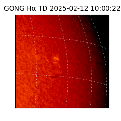 gong - 2025-02-12T10:00:22