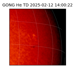gong - 2025-02-12T14:00:22