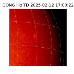 gong - 2025-02-12T17:00:22
