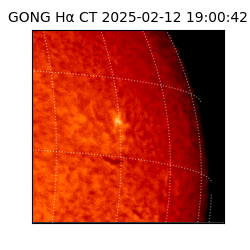 gong - 2025-02-12T19:00:42