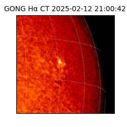 gong - 2025-02-12T21:00:42
