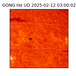 gong - 2025-02-12T03:00:02