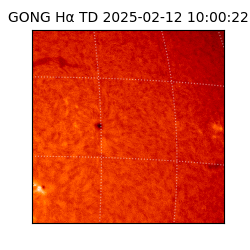 gong - 2025-02-12T10:00:22