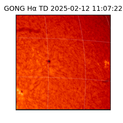 gong - 2025-02-12T11:07:22