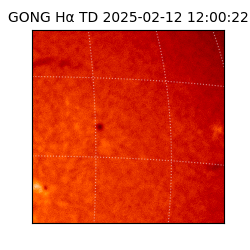 gong - 2025-02-12T12:00:22