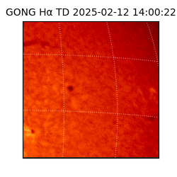 gong - 2025-02-12T14:00:22