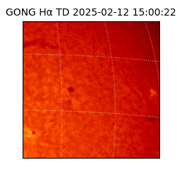 gong - 2025-02-12T15:00:22