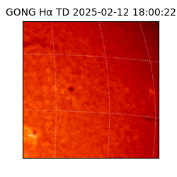 gong - 2025-02-12T18:00:22
