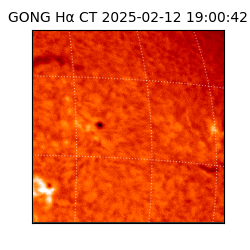 gong - 2025-02-12T19:00:42