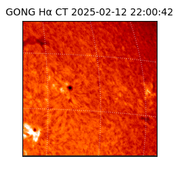 gong - 2025-02-12T22:00:42