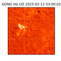 gong - 2025-02-12T03:00:02