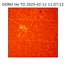 gong - 2025-02-12T11:07:22