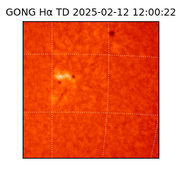 gong - 2025-02-12T12:00:22