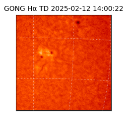 gong - 2025-02-12T14:00:22