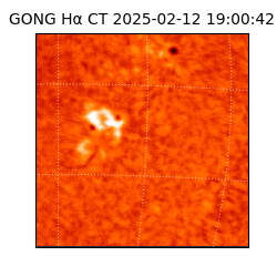 gong - 2025-02-12T19:00:42