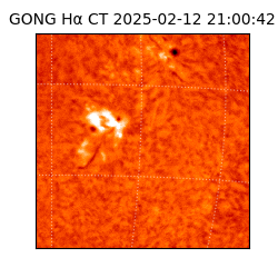 gong - 2025-02-12T21:00:42