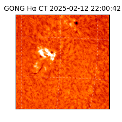 gong - 2025-02-12T22:00:42