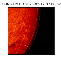 gong - 2025-02-12T07:00:02