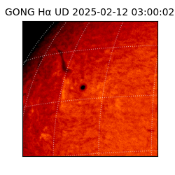 gong - 2025-02-12T03:00:02