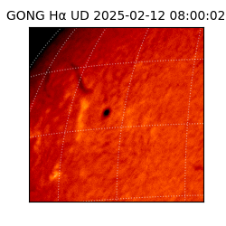gong - 2025-02-12T08:00:02