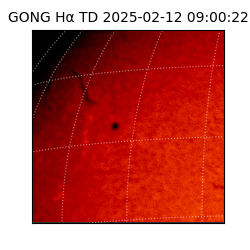 gong - 2025-02-12T09:00:22