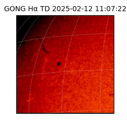 gong - 2025-02-12T11:07:22