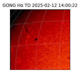 gong - 2025-02-12T14:00:22