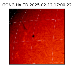 gong - 2025-02-12T17:00:22