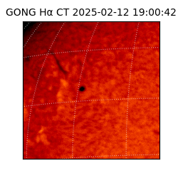 gong - 2025-02-12T19:00:42