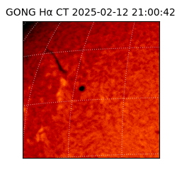 gong - 2025-02-12T21:00:42