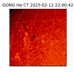 gong - 2025-02-12T22:00:42
