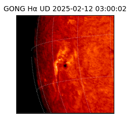 gong - 2025-02-12T03:00:02