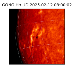 gong - 2025-02-12T08:00:02
