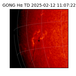 gong - 2025-02-12T11:07:22