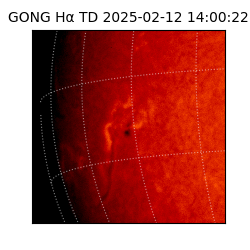 gong - 2025-02-12T14:00:22