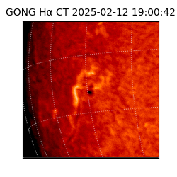 gong - 2025-02-12T19:00:42