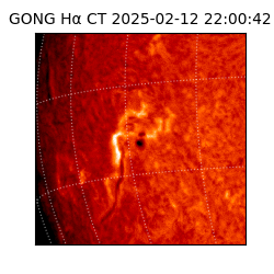 gong - 2025-02-12T22:00:42