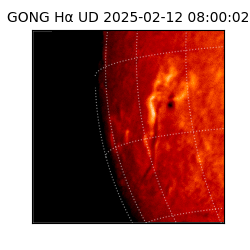 gong - 2025-02-12T08:00:02