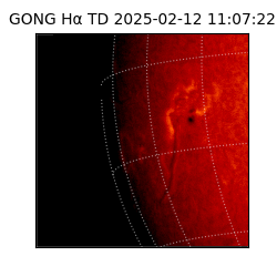 gong - 2025-02-12T11:07:22