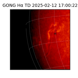 gong - 2025-02-12T17:00:22