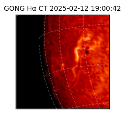 gong - 2025-02-12T19:00:42