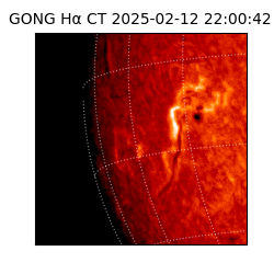 gong - 2025-02-12T22:00:42
